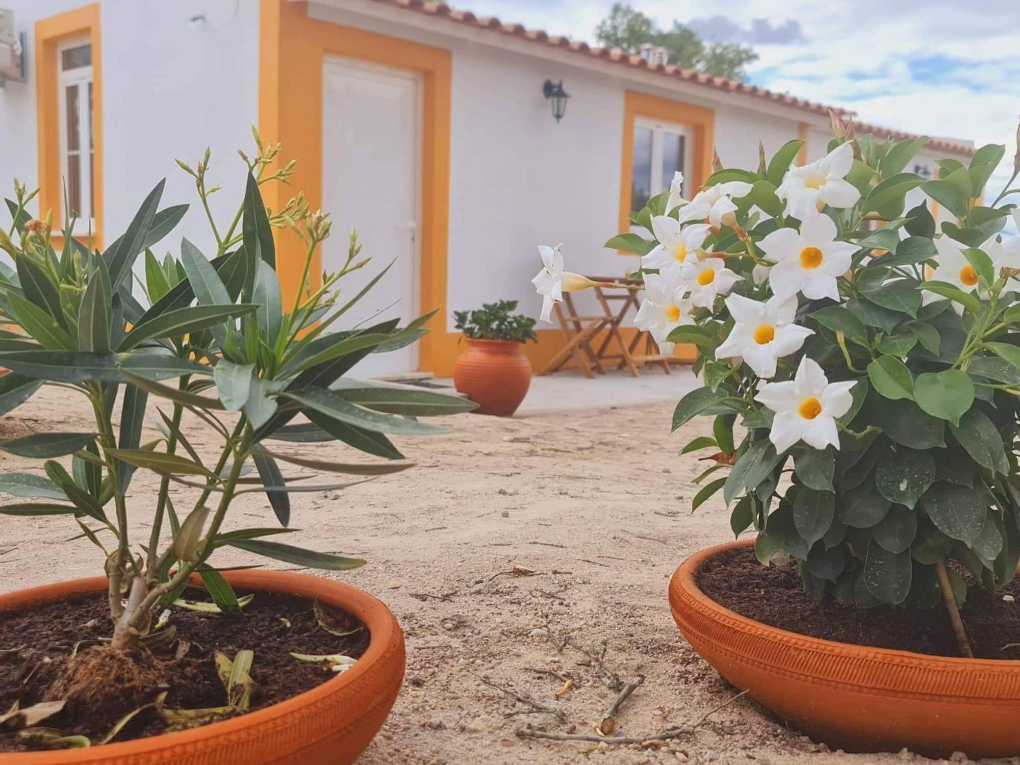Ferienwohnung Monte Argil Montargil Exterior foto